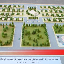 Reitaj_kiria_alkahma_01