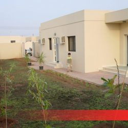 Reitaj_kiria_alkahma_02