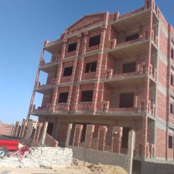 Reitaj_still_project_06-768x914