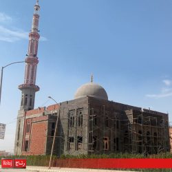 Reitaj_still_project_14-768x688